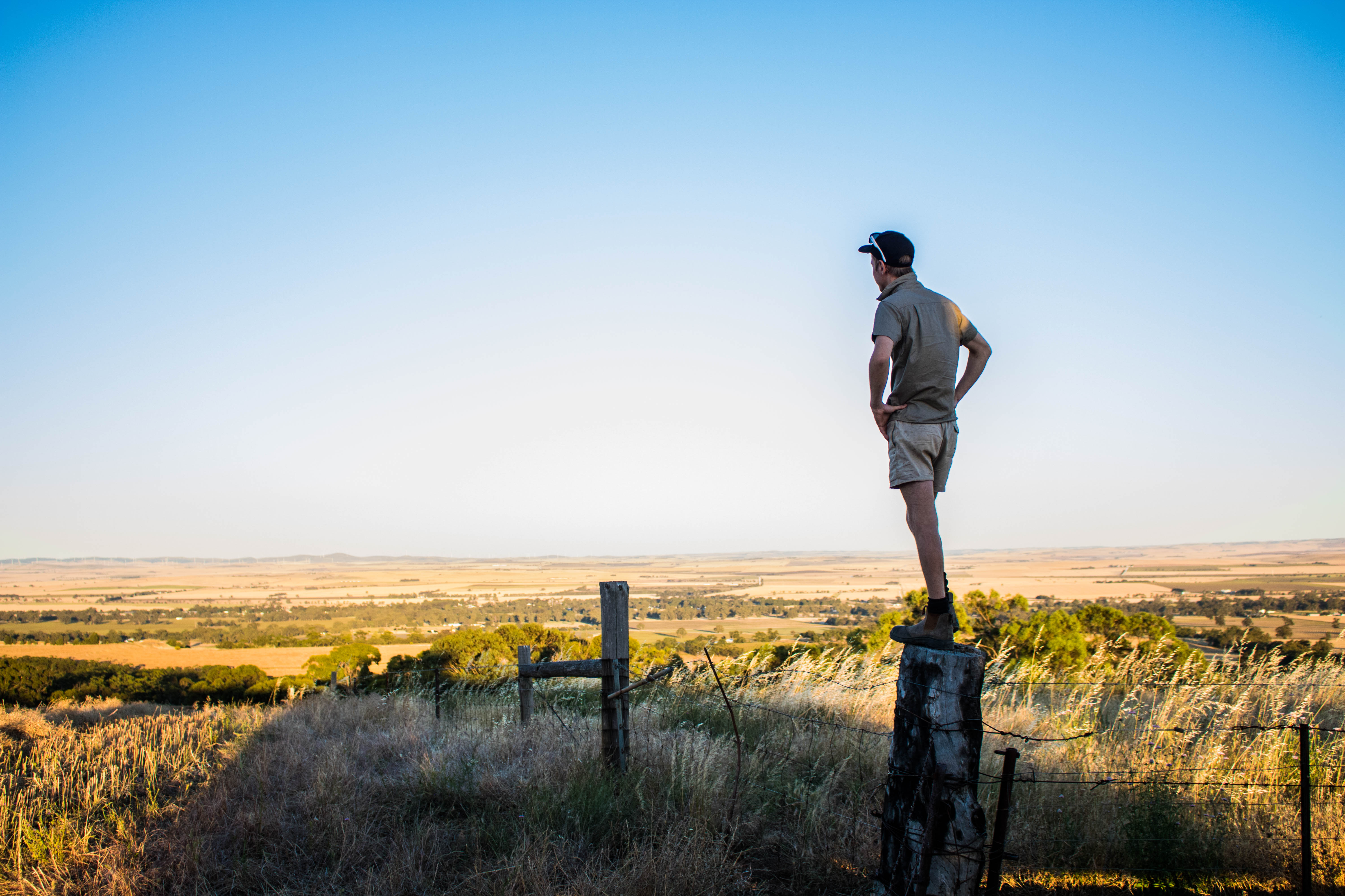 Matthew Waldhuter, CEO of Waldhuter Enterprises, looking out over rural countryside from a fence post